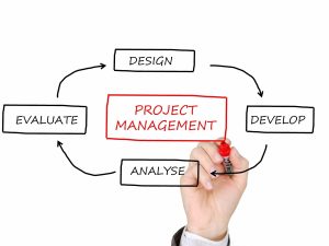 What is Project Management
