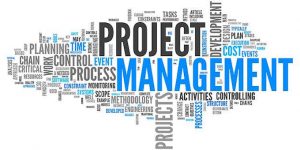 definition of project management