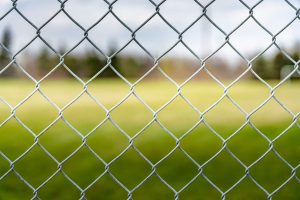 Need a Mesh Fence